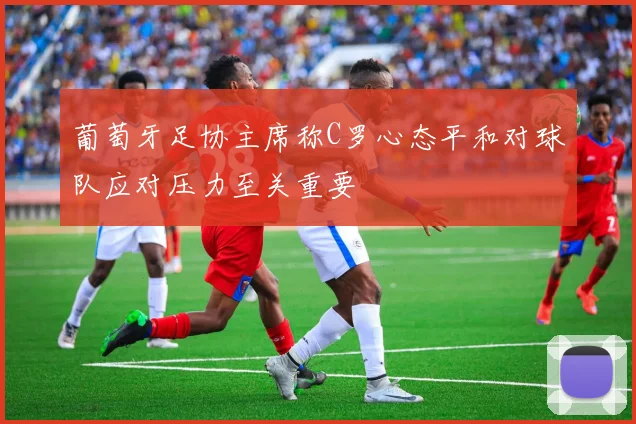 葡萄牙足协主席称C罗心态平和对球队应对压力至关重要