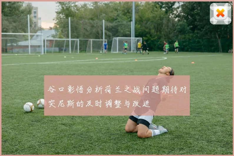 谷口彰悟分析荷兰之战问题期待对突尼斯的及时调整与改进